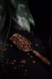 فروشگاه رستری قهوه سان خرید قهوه