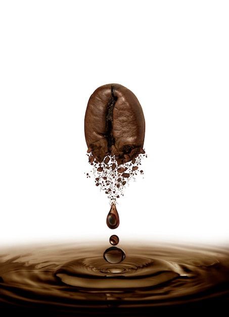 90e597d5 c6f7 42c2 be8f dea2ed202352 فروشگاه رستری قهوه سان